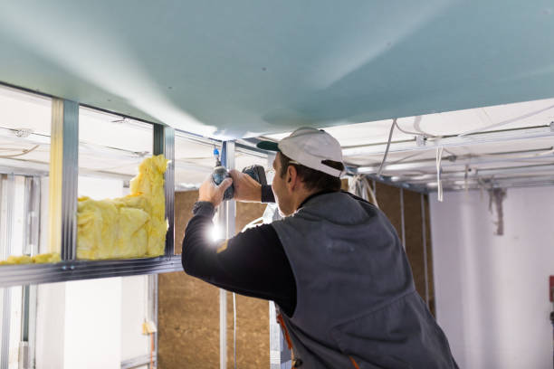 Best Insulation Contractor Near Me  in Harris Hill, NY
