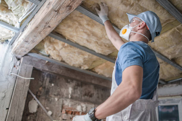 Best Best Insulation Companies  in Harris Hill, NY