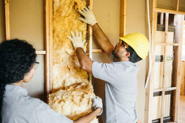 Best Spray Foam Insulation  in Harris Hill, NY