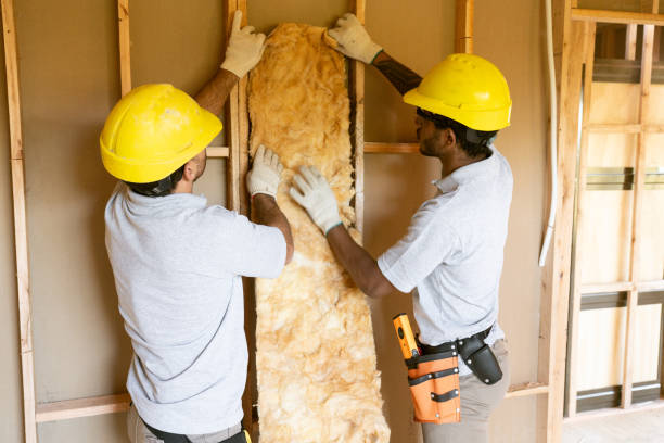 Best Cellulose Insulation  in Harris Hill, NY