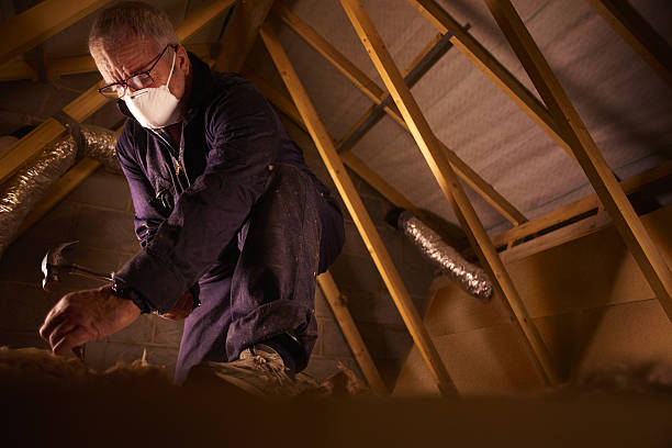 Best Crawl Space Insulation  in Harris Hill, NY