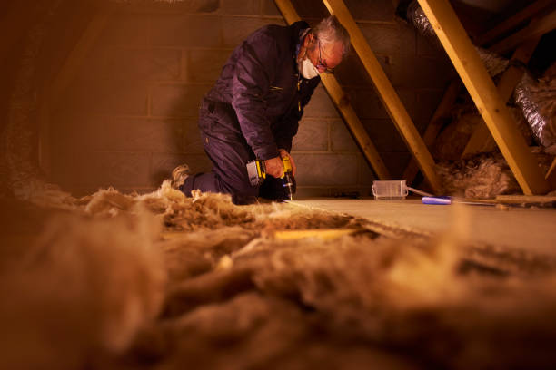 Best Professional Insulation Contractor  in Harris Hill, NY